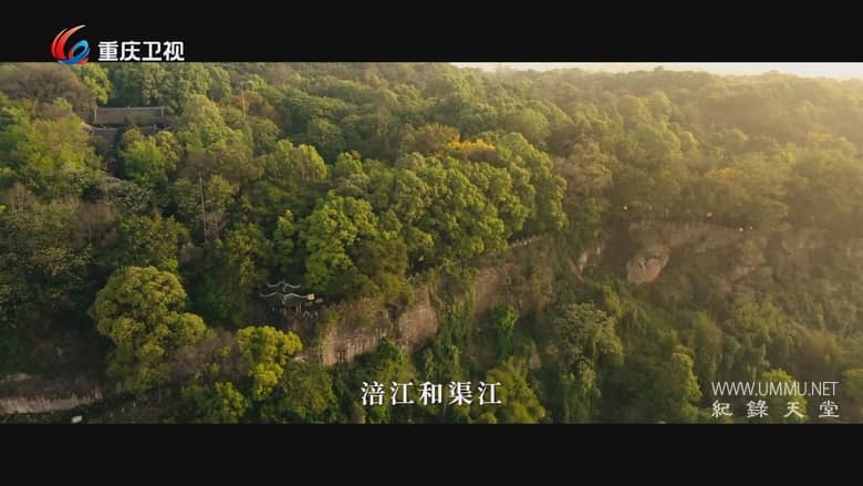 卢作孚 A Path to His Garden插图1