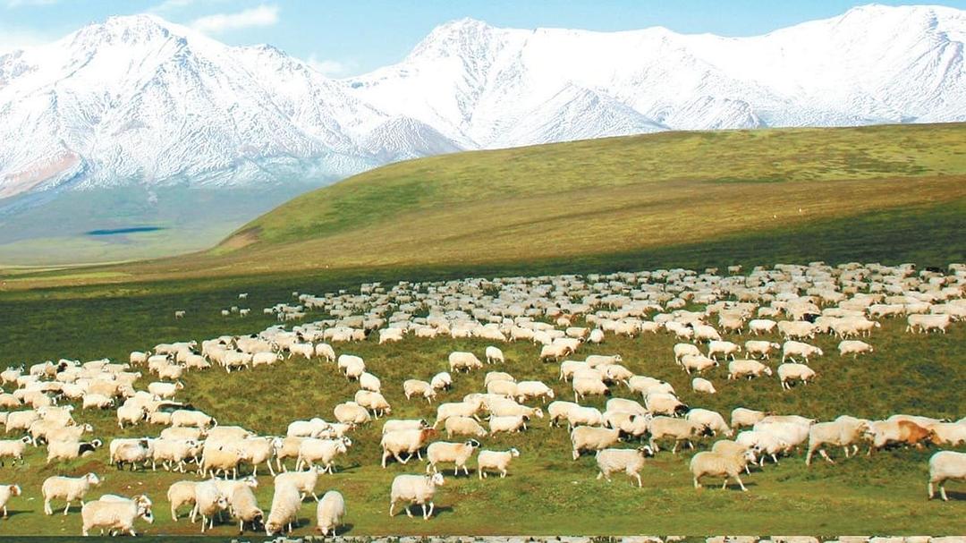 青海·我们的国家公园插图2