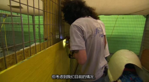 狗儿救援迎新生 第6季 Pit Bulls and Parolees插图2