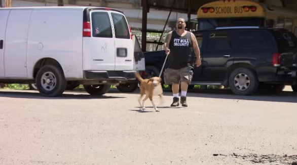 狗儿救援迎新生 第6季 Pit Bulls and Parolees插图3