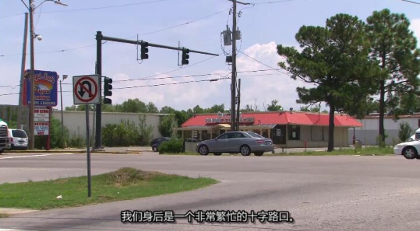 狗儿救援迎新生 第8季 Pit Bulls and Parolees插图2