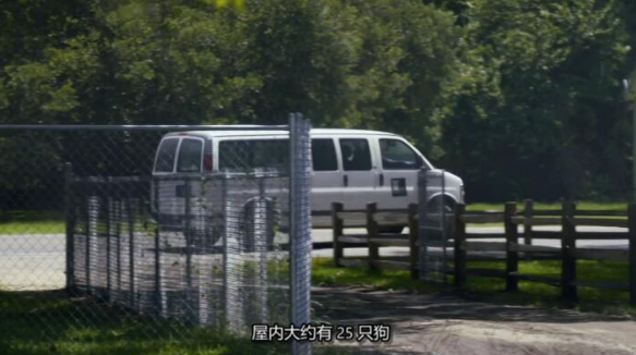 狗儿救援迎新生 第13季 Pit Bulls and Parolees插图1