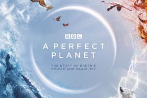 完美星球 A Perfect Planet