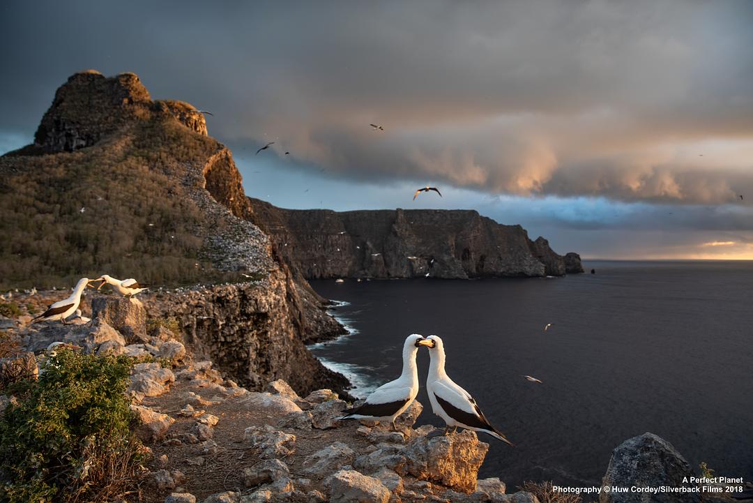 完美星球 A Perfect Planet插图5