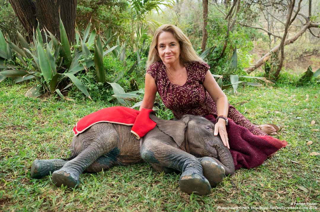 完美星球 A Perfect Planet插图6