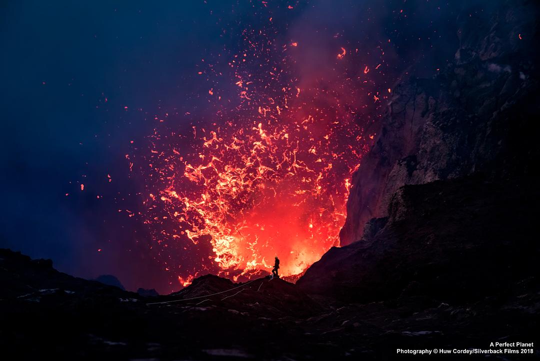 完美星球 A Perfect Planet插图9