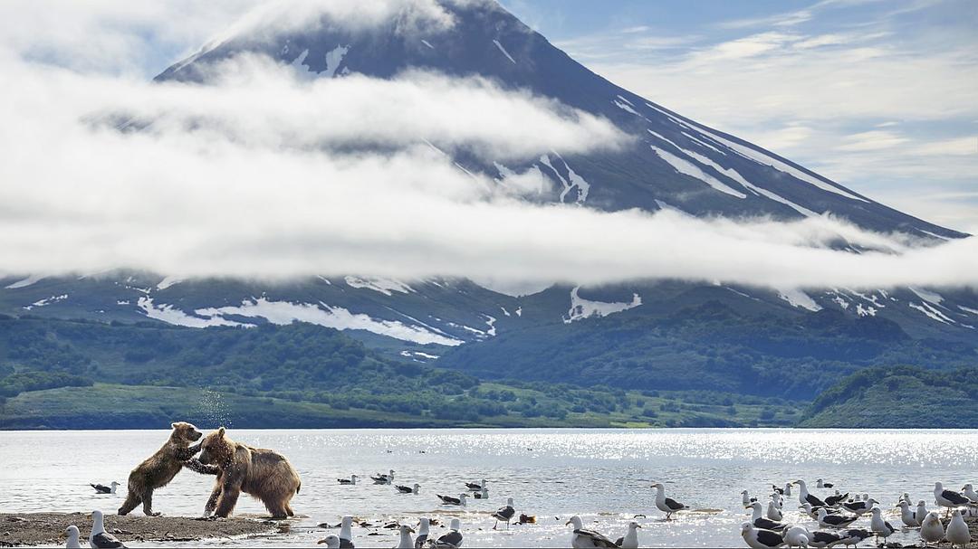 完美星球 A Perfect Planet插图10