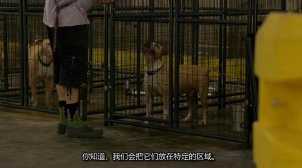 狗儿救援迎新生  第19季 Pit Bulls and Parolees插图4