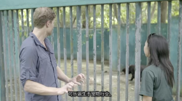 兽医狂野行：全球救援  第1季  Vet Gone Wild: Global Rescue插图1