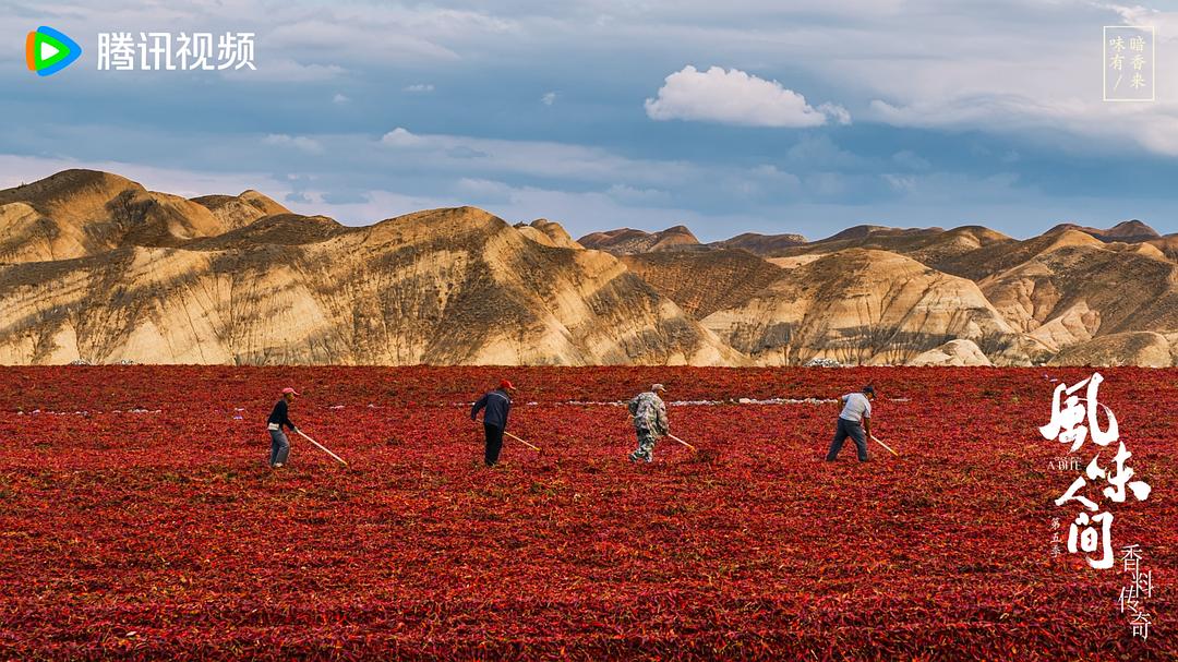风味人间 第五季插图8