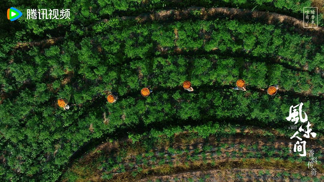 风味人间 第五季插图9