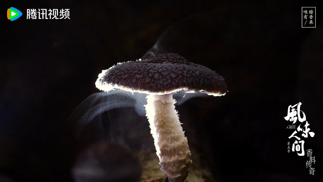 风味人间 第五季插图16