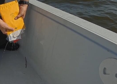 路易斯安那保育战  第二季 Louisiana Law插图4