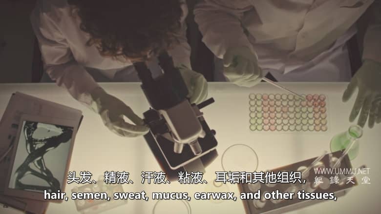 最终被抓 Finally Caught插图2