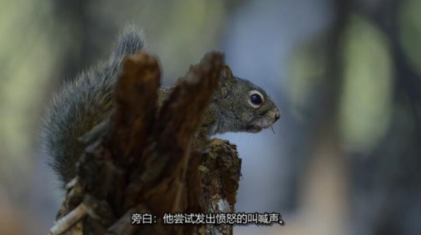 美丽美利坚  第1季 America the Beautiful插图1