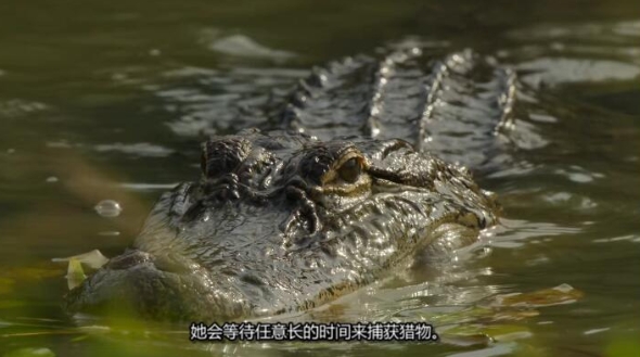 美丽美利坚  第1季 America the Beautiful插图2