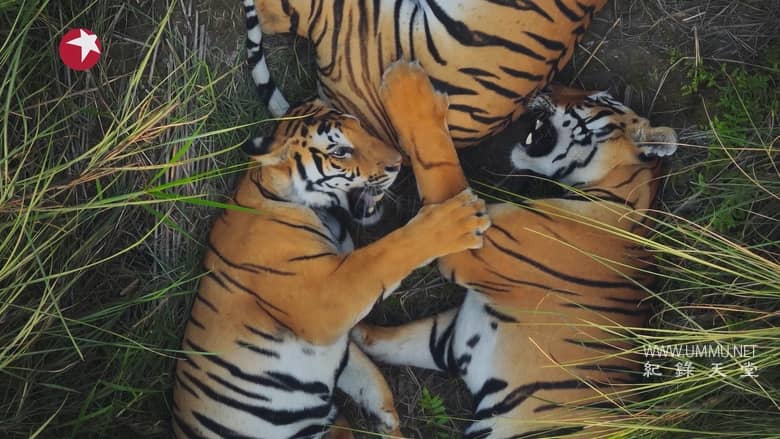 亚洲 2024 Asia 2024插图2