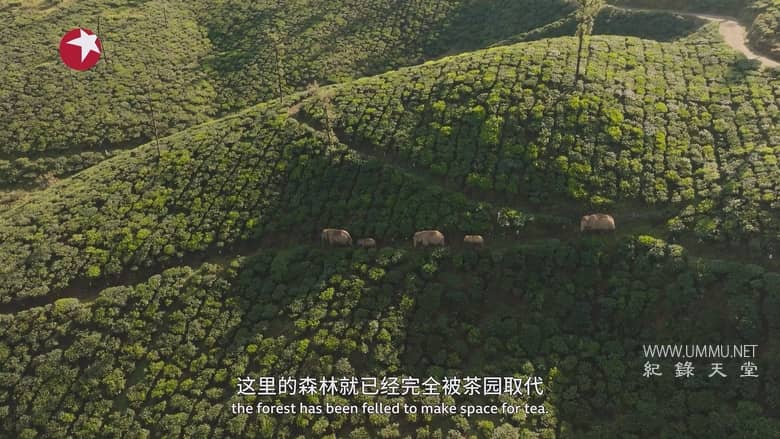 亚洲 2024 Asia 2024插图3