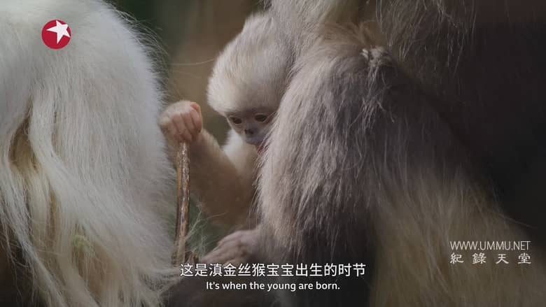 亚洲 2024 Asia 2024插图4