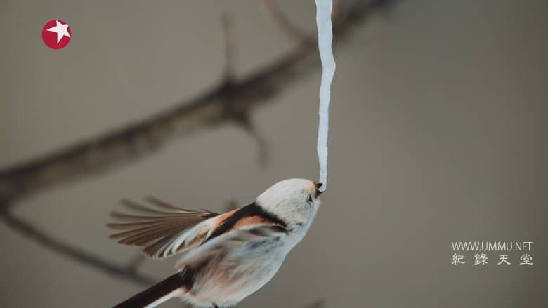 亚洲 2024 Asia 2024插图5