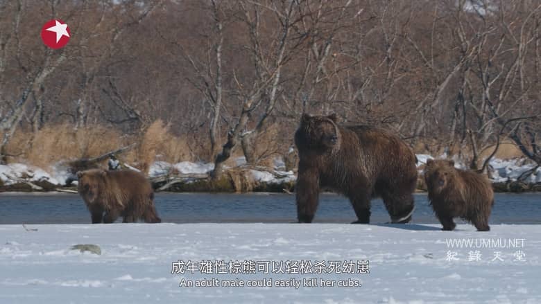亚洲 2024 Asia 2024插图6
