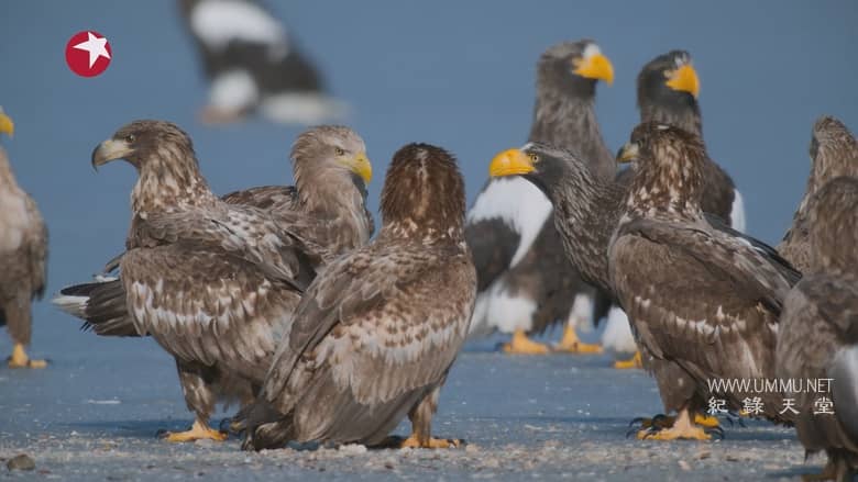 亚洲 2024 Asia 2024插图7