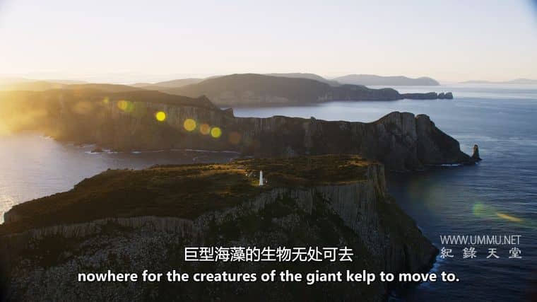 澳大利亚海洋奇幻之旅 Australia's Ocean Odyssey插图5