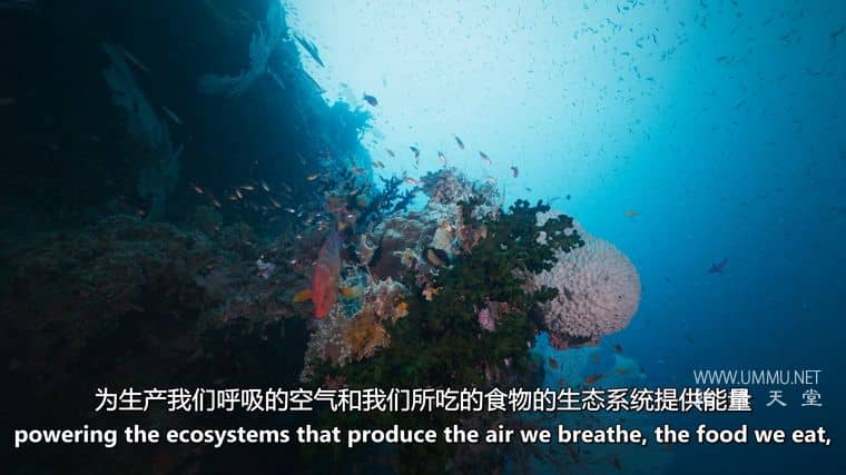 澳大利亚海洋奇幻之旅 Australia's Ocean Odyssey插图6