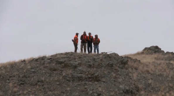 黄石公园守卫者  第3季  Yellowstone Wardens插图3