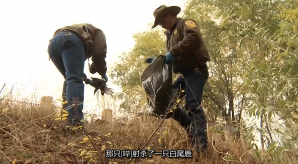 黄石公园守卫者  第5季 Yellowstone Wardens插图2