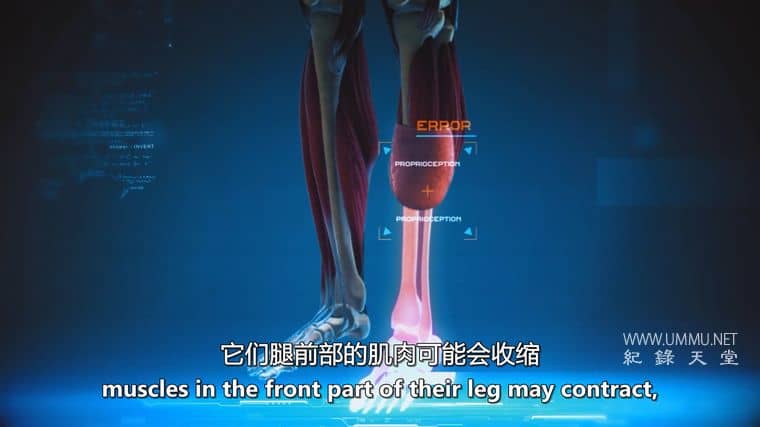 我的多发性硬化症增强与预测 Augmented & Predicting My MS插图3