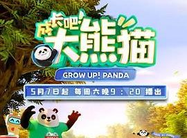 成长吧！大熊猫