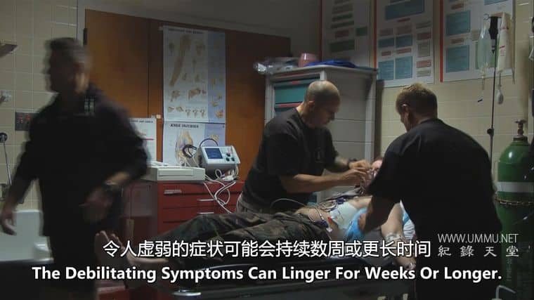 大的、小的和致命的 Big, Small & Deadly插图4