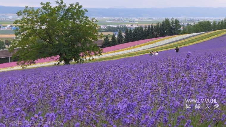 4K视觉之旅插图7