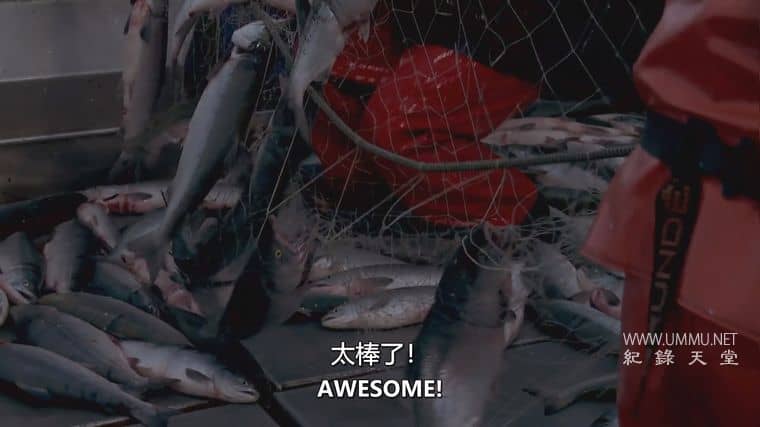 阿拉斯加：海湾捕鱼之战 Alaska: Battle on the Bay插图6