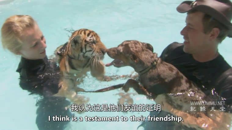 狗狗最好的朋友 Dog's Best Friend插图1