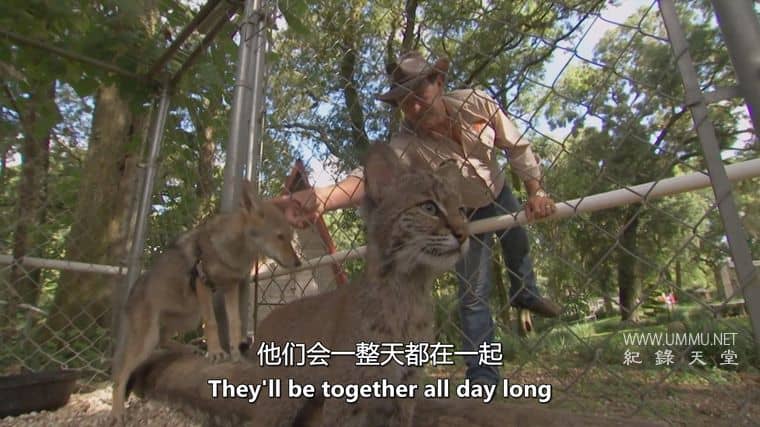 狗狗最好的朋友 Dog's Best Friend插图5