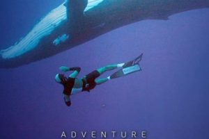 海洋冒险任务 Adventure Ocean Quest