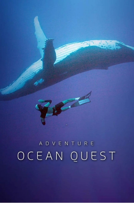海洋冒险任务 Adventure Ocean Quest插图