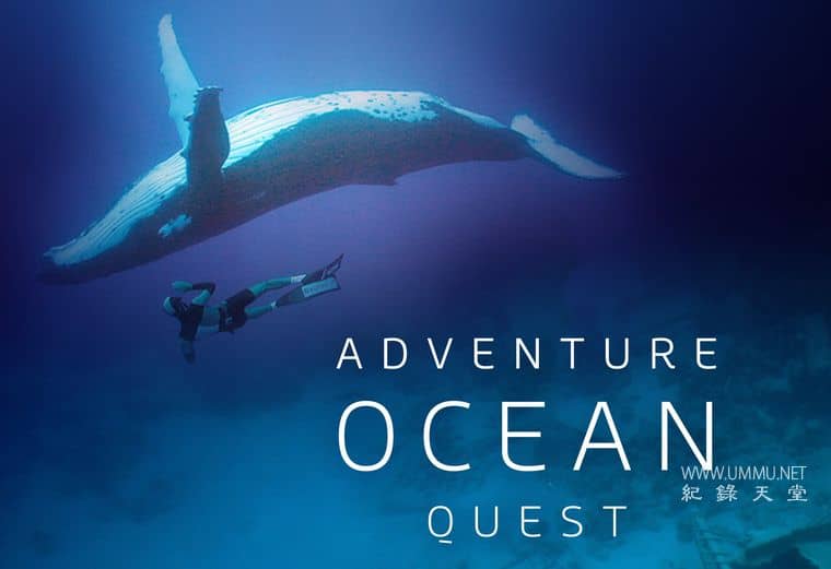 海洋冒险任务 Adventure Ocean Quest插图1