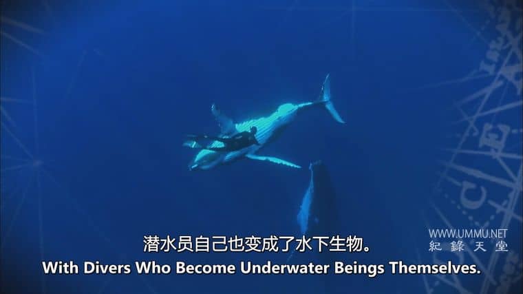 海洋冒险任务 Adventure Ocean Quest插图2