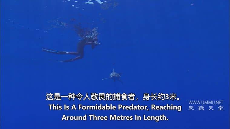 海洋冒险任务 Adventure Ocean Quest插图5