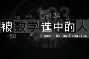 《被数学选中的人》