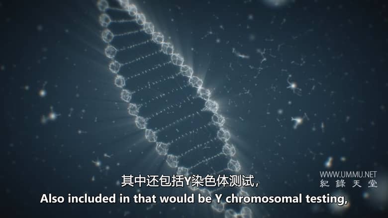 血缘侦探 第3-4季 Bloodline Detectives插图2