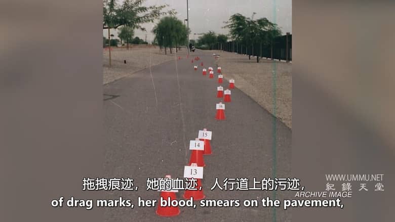 血缘侦探 第3-4季 Bloodline Detectives插图7