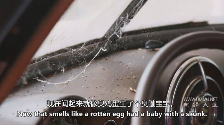 脏兮兮的旧车 Dirty Old Cars插图6