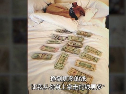 纯素败类：名声、诈骗、逃犯 Bad Vegan: Fame. Fraud. Fugitives.插图1