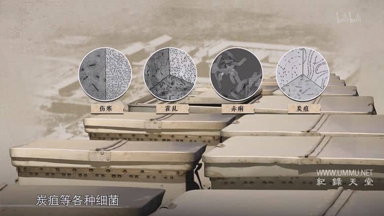 七三一真相插图1