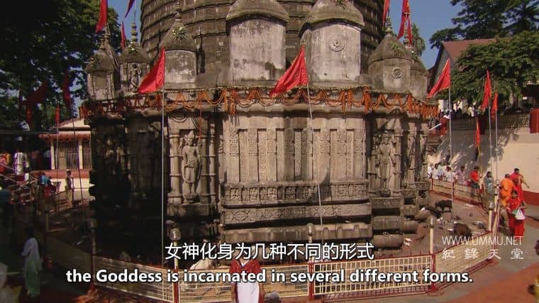 神圣的女性 Divine Women插图2