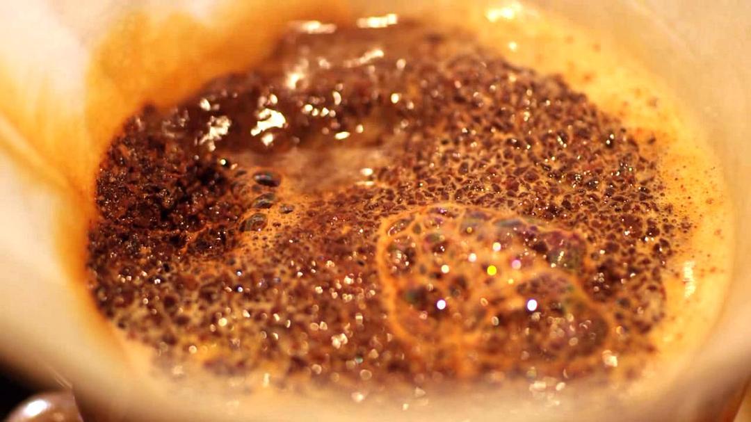 一部关于咖啡的电影 A Film about Coffee插图4